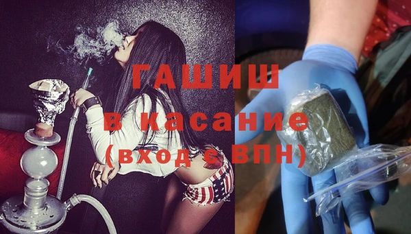 сатива Беломорск