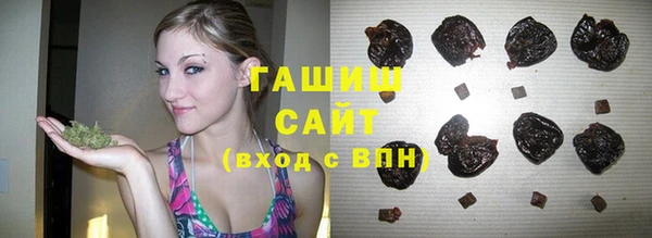 гашик Богородск