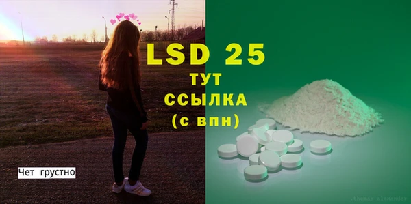 дживик Богородицк