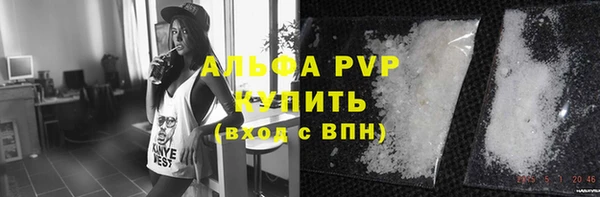 сатива Беломорск