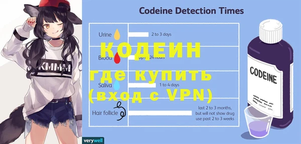 гашик Богородск