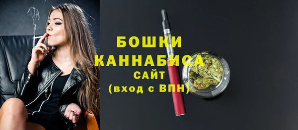 дживик Богородицк