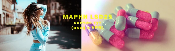 дживик Богородицк