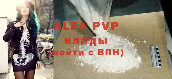сатива Беломорск