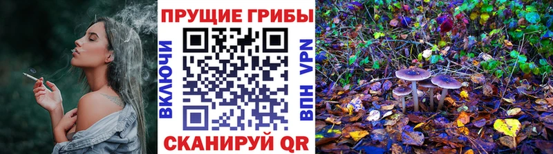 Галлюциногенные грибы мухоморы Барыш